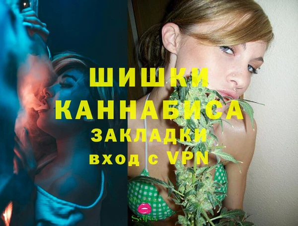 СК Горняк