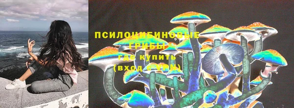 молекула духа Гусь-Хрустальный