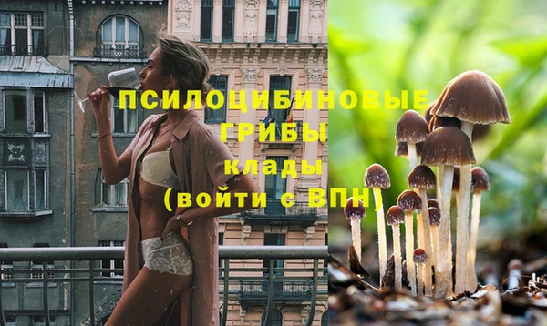 стафф Гусиноозёрск