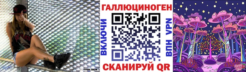 Псилоцибиновые грибы Cubensis  Новоульяновск 